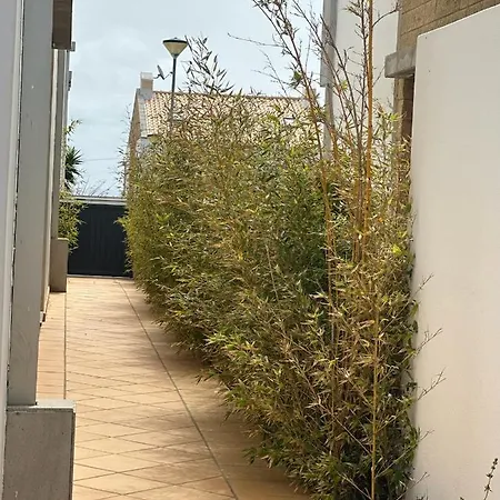 Casa Bamboo * Porto Santo