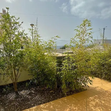 Casa Bamboo